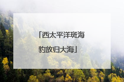 西太平洋斑海豹放归大海
